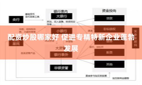 配资炒股哪家好 促进专精特新企业蓬勃发展