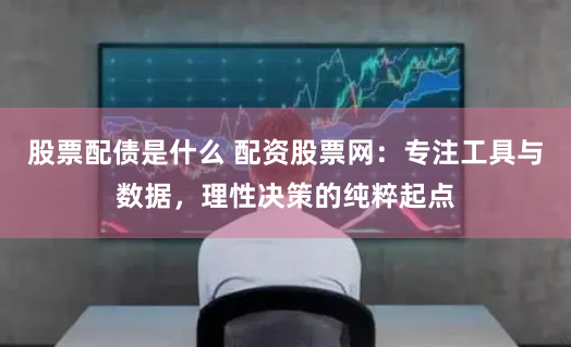 股票配债是什么 配资股票网：专注工具与数据，理性决策的纯粹起点