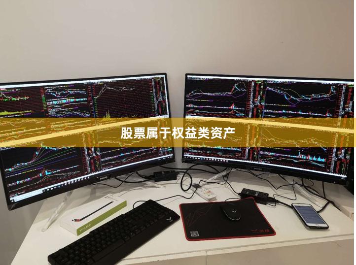 股票属于权益类资产